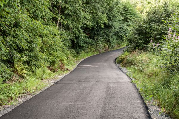 Asphalt Driveway Replacement in Madison